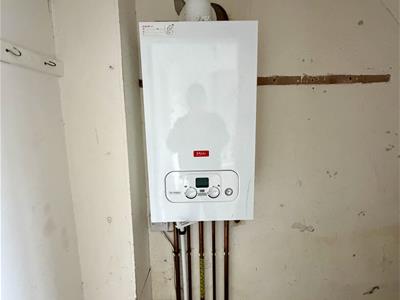 Picture 13